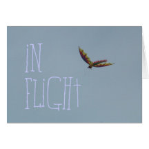 Kite Flying at the Oregon Coast Cards