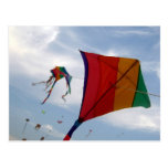 Kite postcard postcards