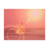 Kiteboarding Sunset Postcard