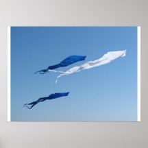 Kites in Blue & White Poster