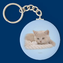 kitten1_rnd_ornament keychains
