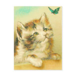 Kitten And Butterfly Post Cards