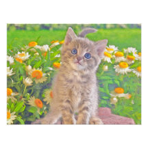 Kitten and Flowers Photo