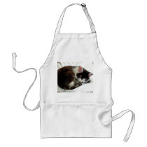 Kitten asleep on White Comforter Apron