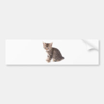 kitten autocollant pour voiture