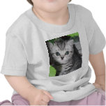 kitten Baby - Infant shirt t-shirts