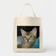 Kitten Canvas Bag