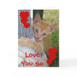Kitten Dax Love Card
