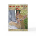 Kitten Dax Valentine Card