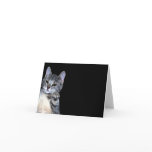 Kitten Digital Oil Painted Cards