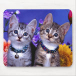 Kitten Duo mousepads