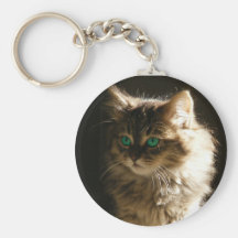 Kitten eyes keychains