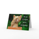 kitten forgot birthday cards