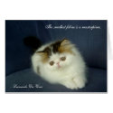 Kitten Greeting Card w Da Vinci Quote (BLANK)