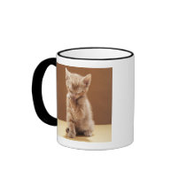 Kitten grooming mug