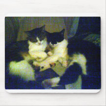 Kitten hugs mouse pad