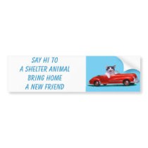 Kitten in a Red Convertible