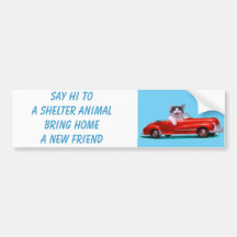 Kitten in a Red Convertible Bumper Stickers