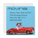 Kitten in a Red Convertible invitations