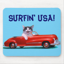 Kitten in a Red Convertible