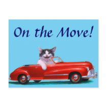 Kitten in a Red Convertible