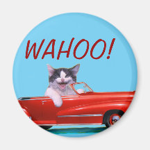 Kitten in a Red Convertible Refrigerator Magnets