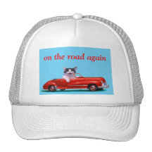 Kitten in a Red Convertible Trucker Hat