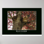 Kitten In A Tree SUCCESS Motivational Photo Print