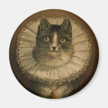 Kitten in an Elizabethan ruff Fridge Magnet