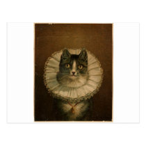 Kitten in an Elizabethan ruff postcards