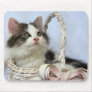 Kitten in Basket Mousepad