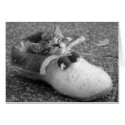 Kitten in Shoe Greeting Card (Blank)