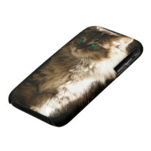 Kitten iPhone 3 Case-Mate Case