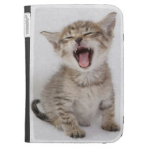 Kitten Kindle Case