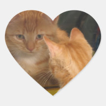 Kitten Love Sticker