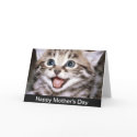 Kitten Mothers Day Wishes cards