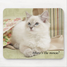 kitten mousemat mousepad