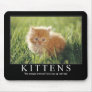 Kitten Mousepad