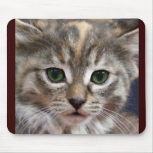 Kitten mousepad 2