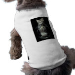 Kitten Peering Out Dog T-shirt