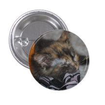 kitten pins