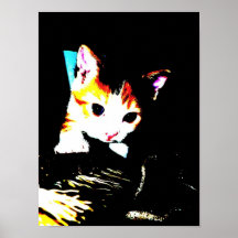 Kitten Print