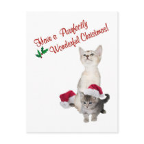 Kitten Purrfectly Wonderful Christmas Wishes