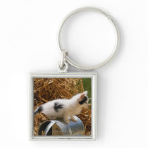Kitten sitting on top of watering can key chains