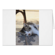 kitten sleeping greeting cards