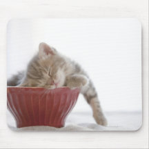 Kitten Sleeping in Bowl Mouse Pads