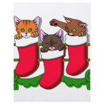 Kitten Stockings Personalized Flyer
