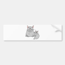 Kitten Tshirts and Gifts 191 Bumper Stickers