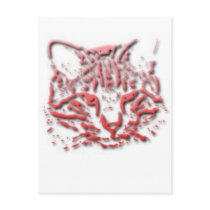 Kitten Tshirts and Gifts 267 Postcard