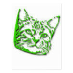 Kitten Tshirts and Gifts 326 Postcard